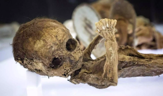 “古生物”样本DNA提取攻略(图1)