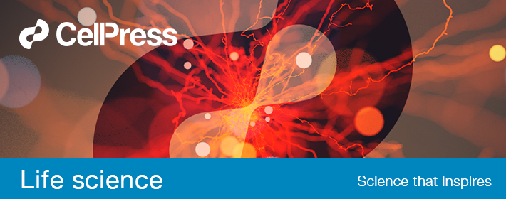 南方科技大学周稳Immunity：TREX1通过DNA识别设定免疫激活阈值(图1)