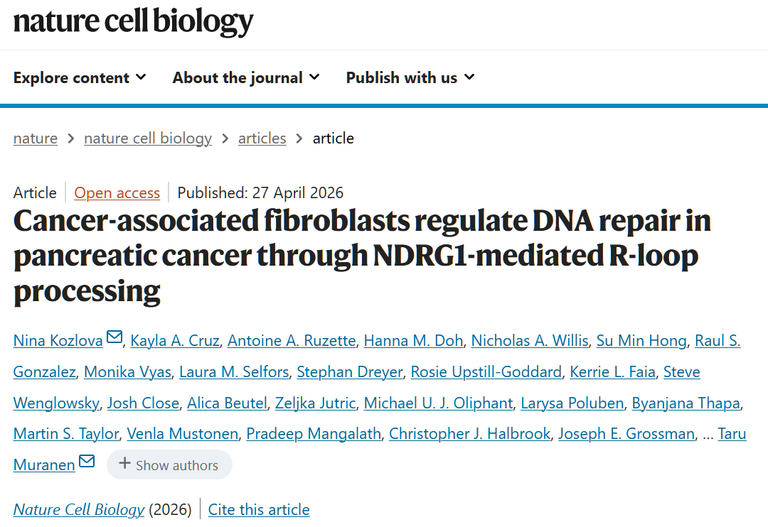 科学家首次发现，肿瘤相关成纤维细胞竟然能激活癌细胞的DNA修复能力(图1)