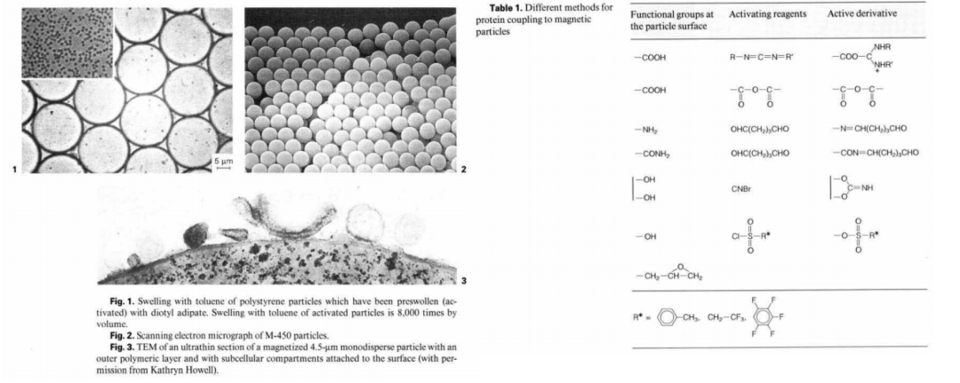 生物磁珠体外应用简述(图4) 生物磁珠体外应用简述(图4)