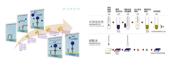 生物磁珠体外应用简述(图11) 生物磁珠体外应用简述(图11)