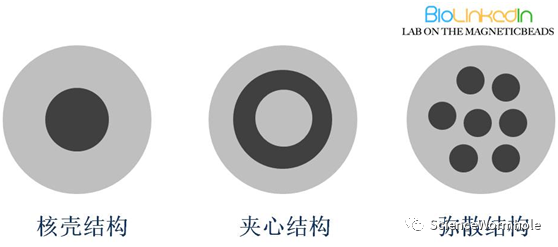 硬核!一文读懂生物磁珠(图1) 硬核!一文读懂生物磁珠(图1)