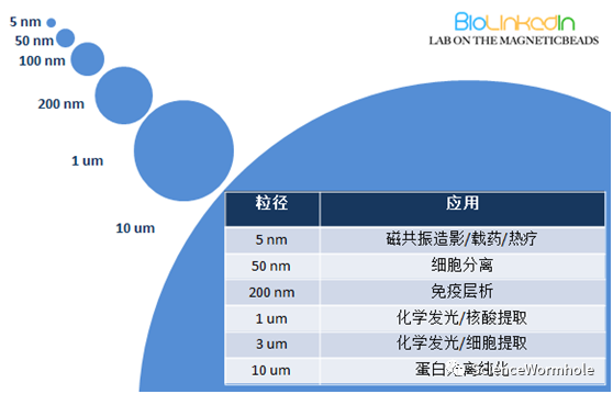 硬核!一文读懂生物磁珠(图3) 硬核!一文读懂生物磁珠(图3)