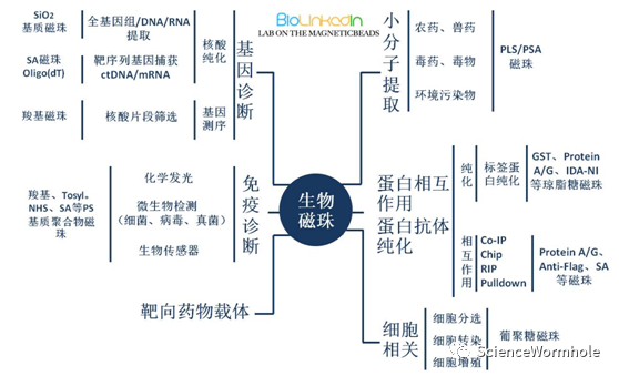 硬核!一文读懂生物磁珠(图5) 硬核!一文读懂生物磁珠(图5)