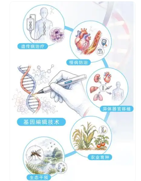 基因编辑，迈向精准医疗新阶段(图1)
