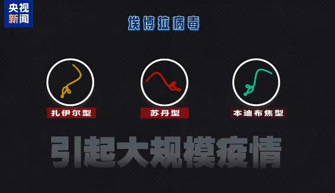 致命病毒埃博拉再度肆虐 非洲面临前所未有防控难点(图1)