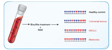 ctDNA甲基化与癌症早筛！