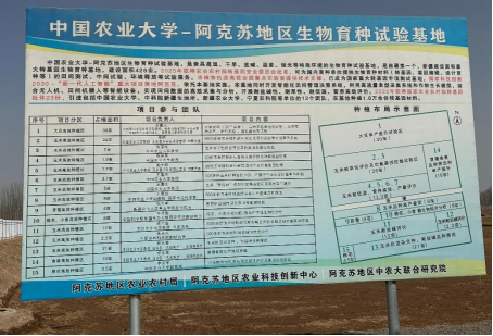 从生物育种试验到企业标准种植：科技赋能新疆阿克苏农业现代化