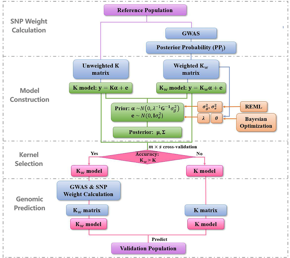 中农动科学院张毅教授团队提出整合机器学习与贝叶斯推断框架的基